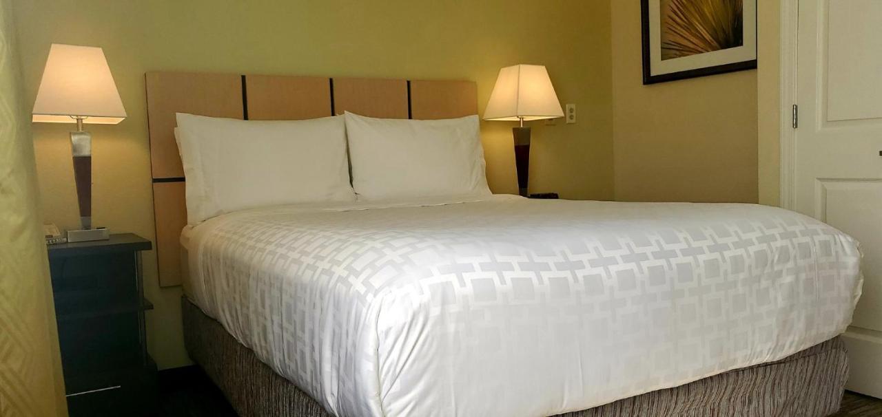 Candlewood Suites Houston Medical Center By Ihg Exterior photo